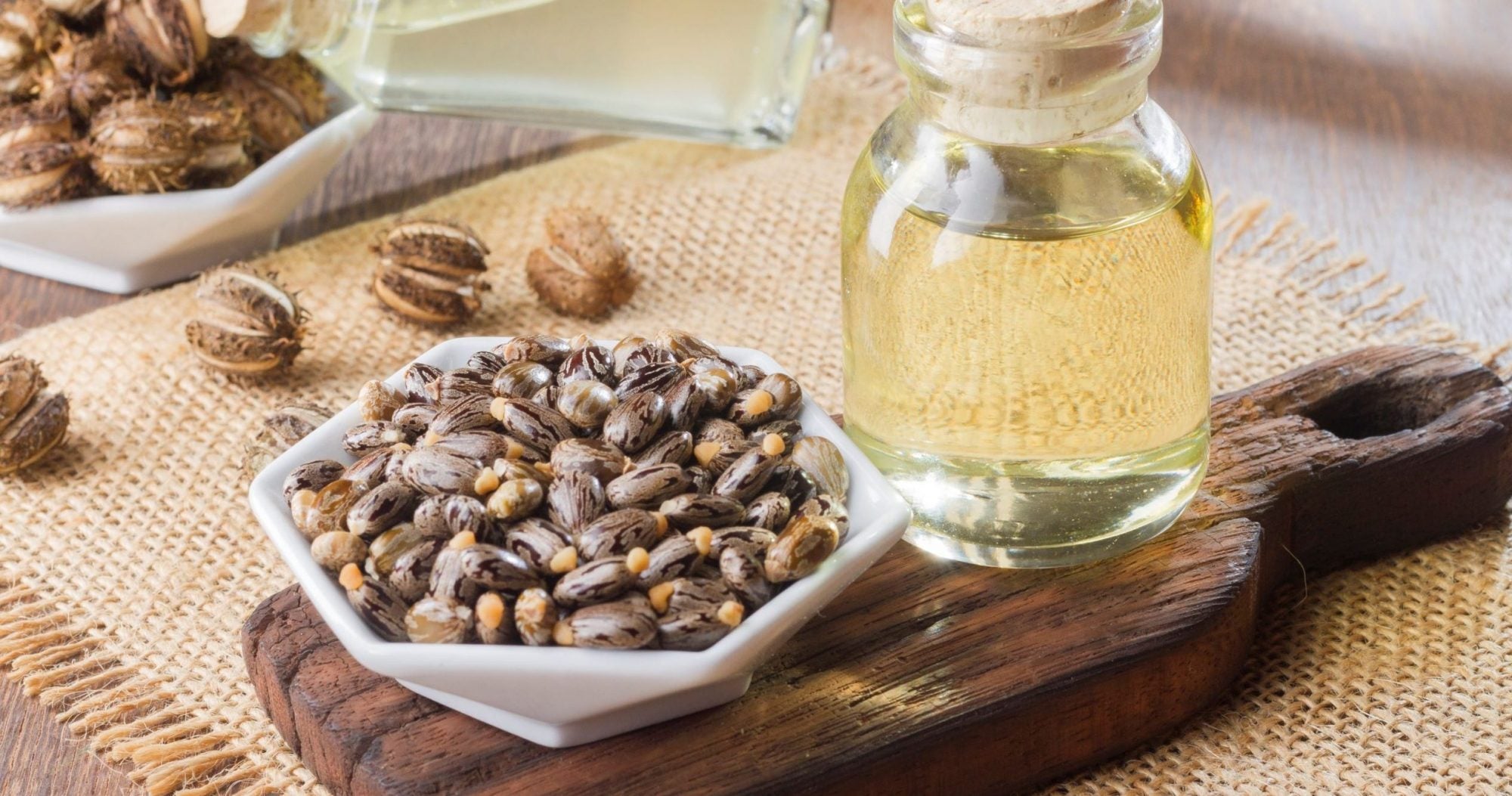 De Duurzame Castorboon - EveryWear Shop 